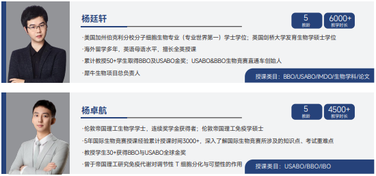 Alevel课程