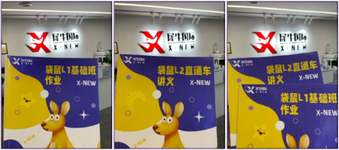 袋鼠数学竞赛培训课程