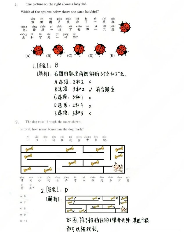 袋鼠数学竞赛