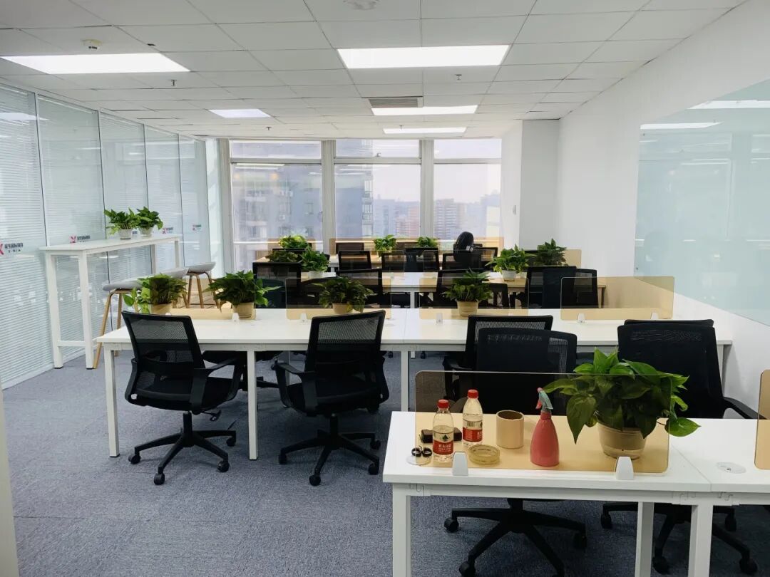 犀牛国际教育