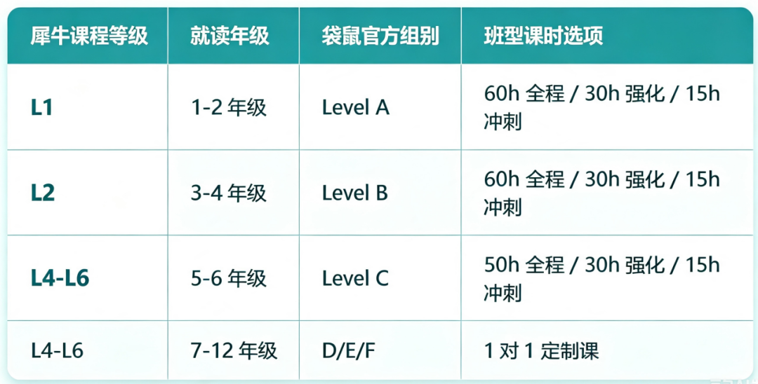 犀牛国际教育