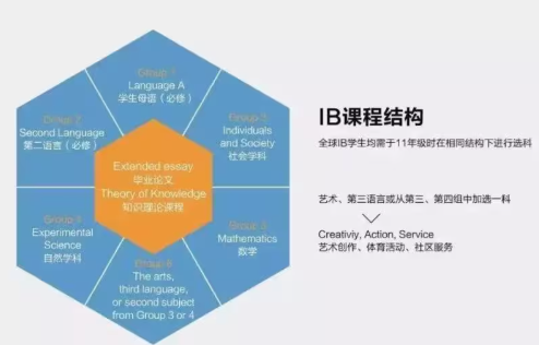 IB辅导
