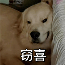 IB课程