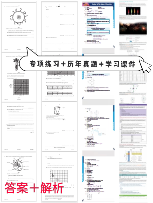 犀牛国际教育