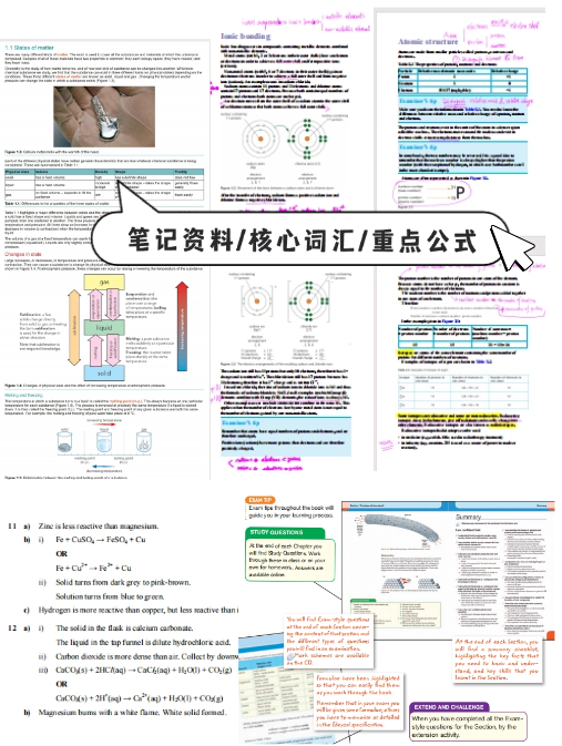 犀牛国际教育