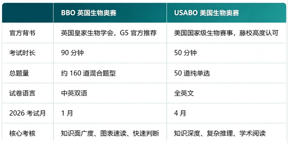 犀牛国际教育